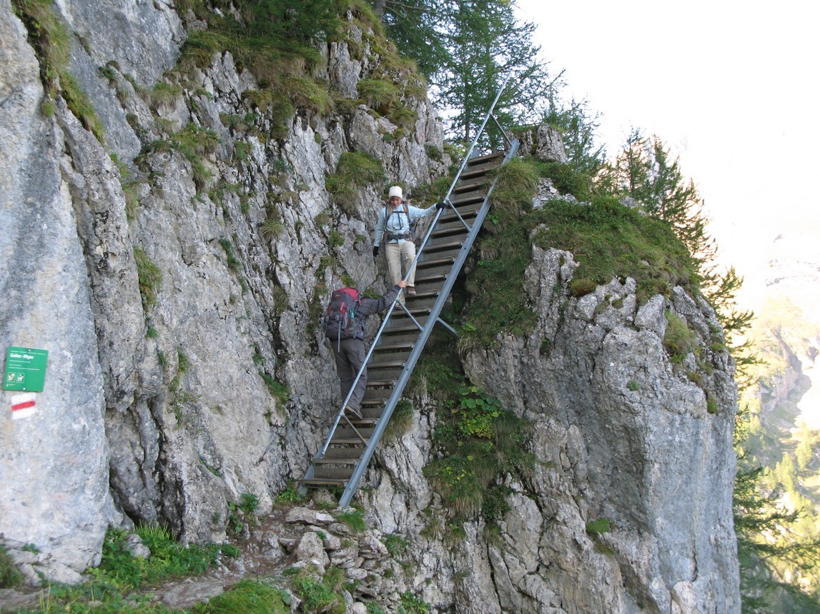 Un dernier escalier nous dépose sur une zone pâturage