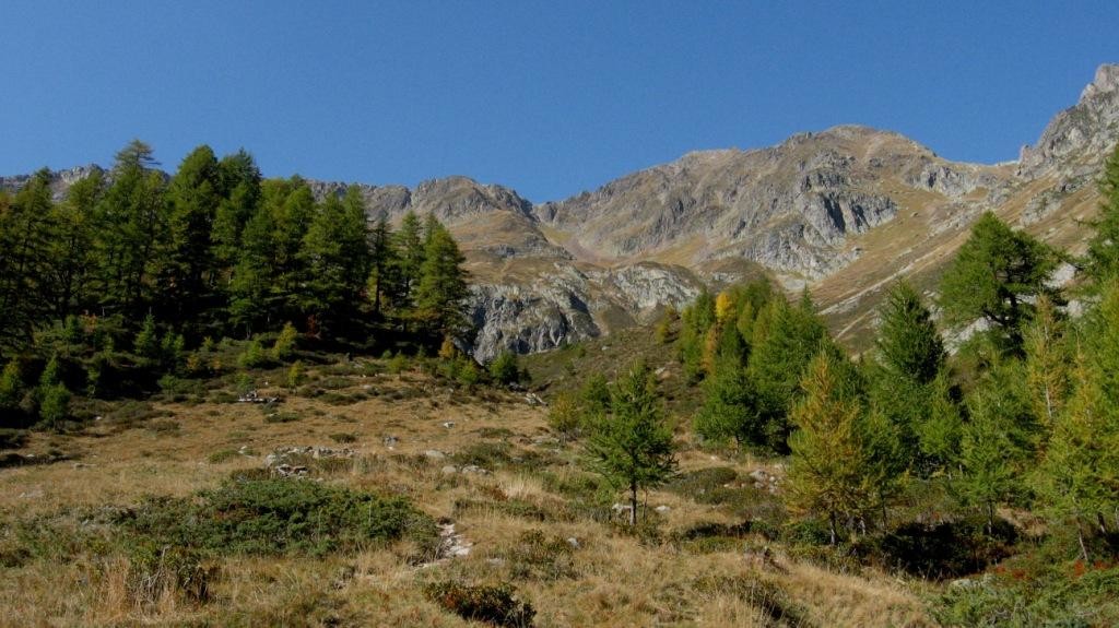 L'enchantement des premières couleurs d'automne