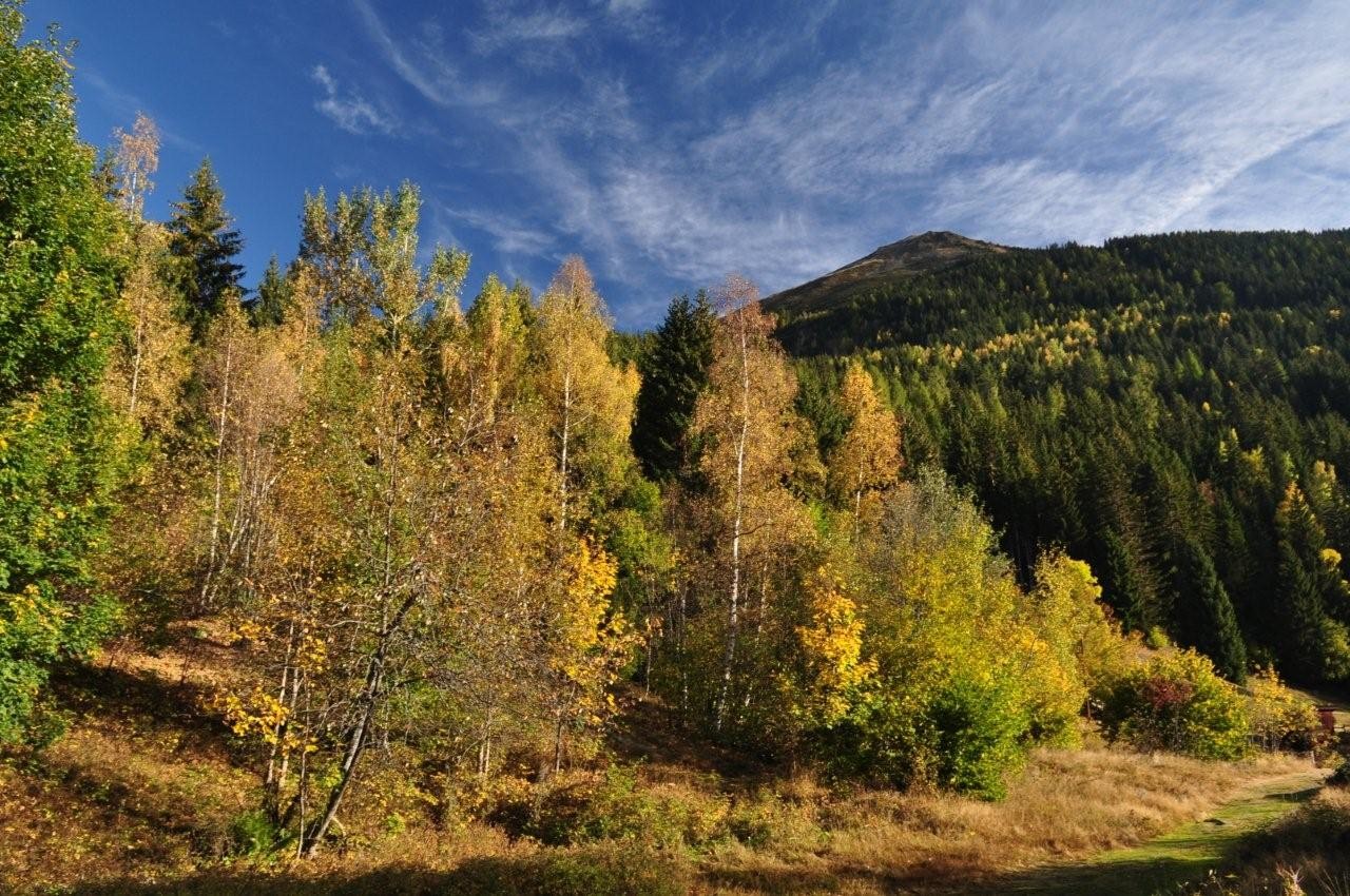 L'automne à l'Aiguillette des Houches