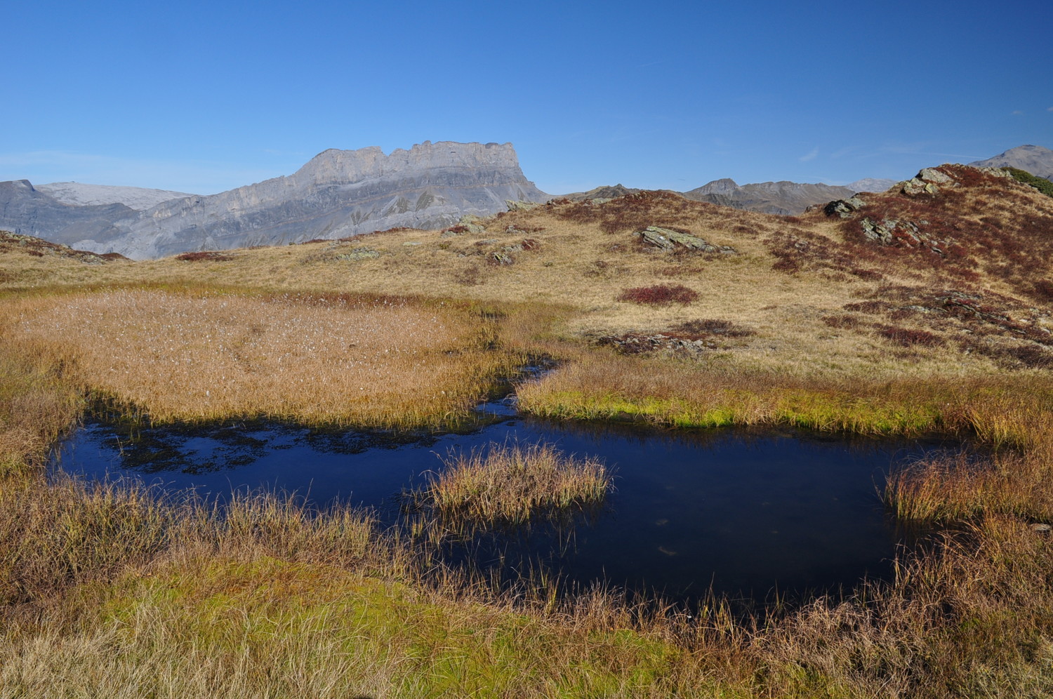 Laquet sous l'Aiguille des Houches