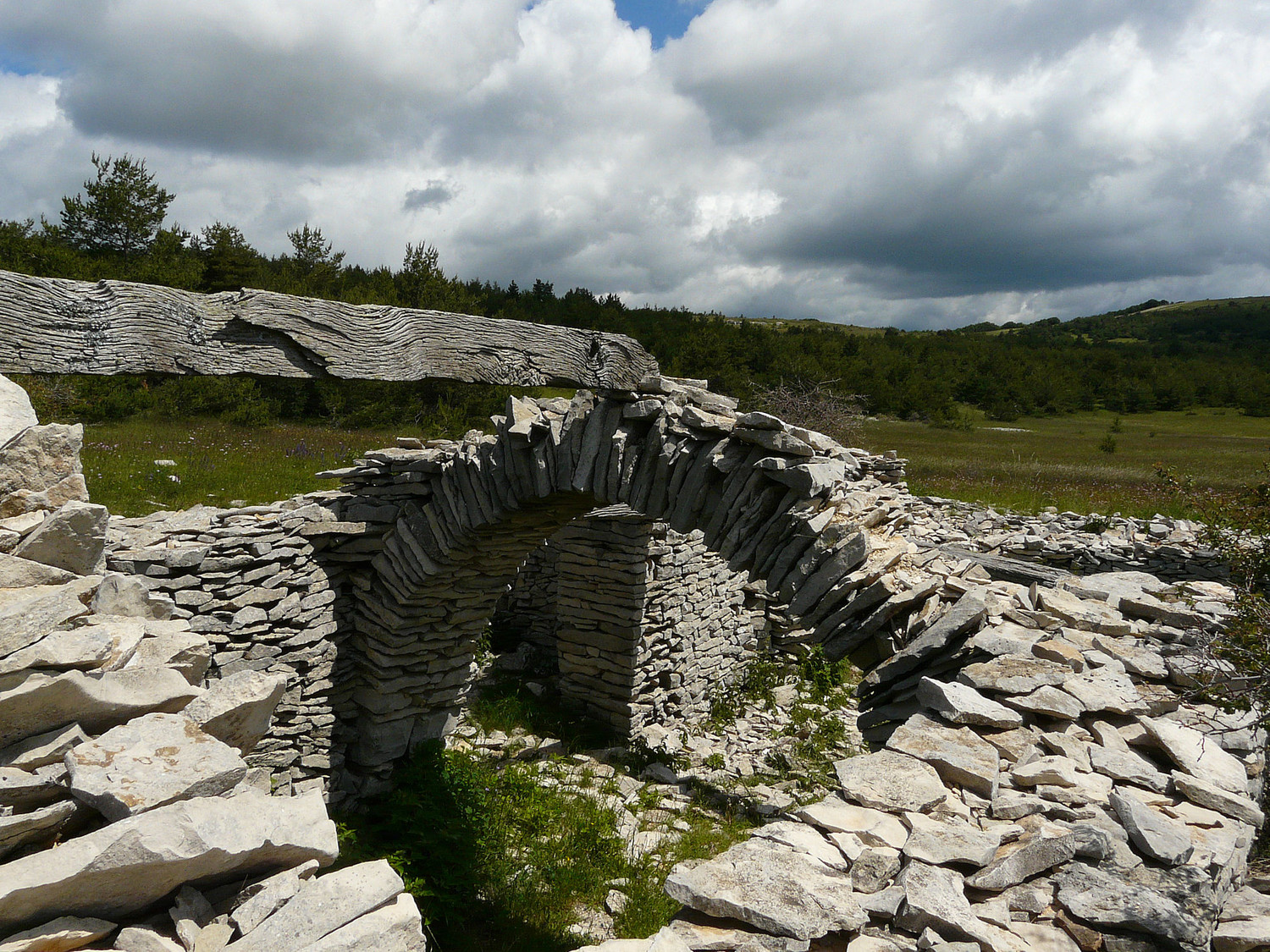Un Jas en ruine aux Fraches avec le sommet de Larran (à droite)
