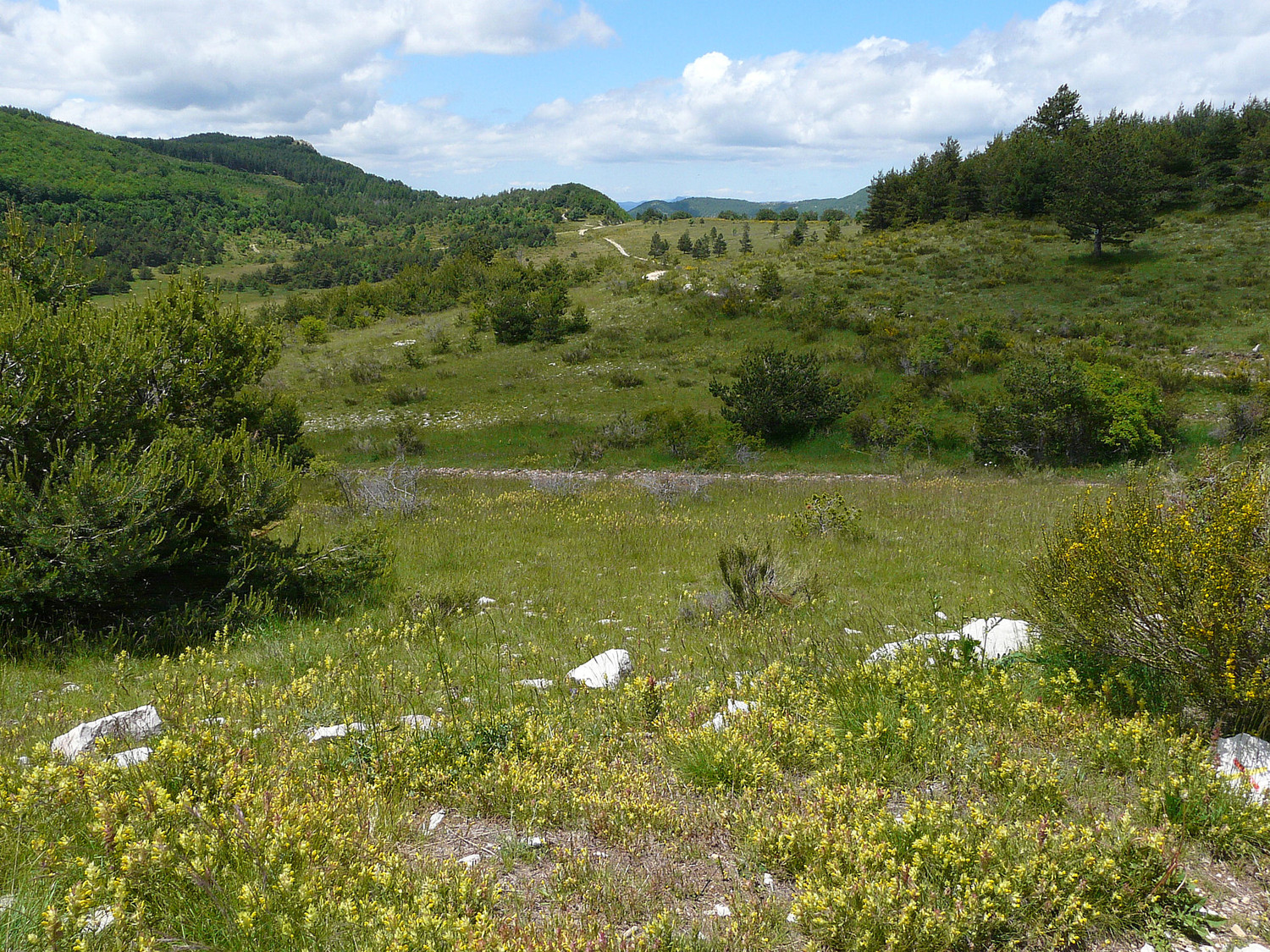 Le chemin depuis le Pas des Redortiers
