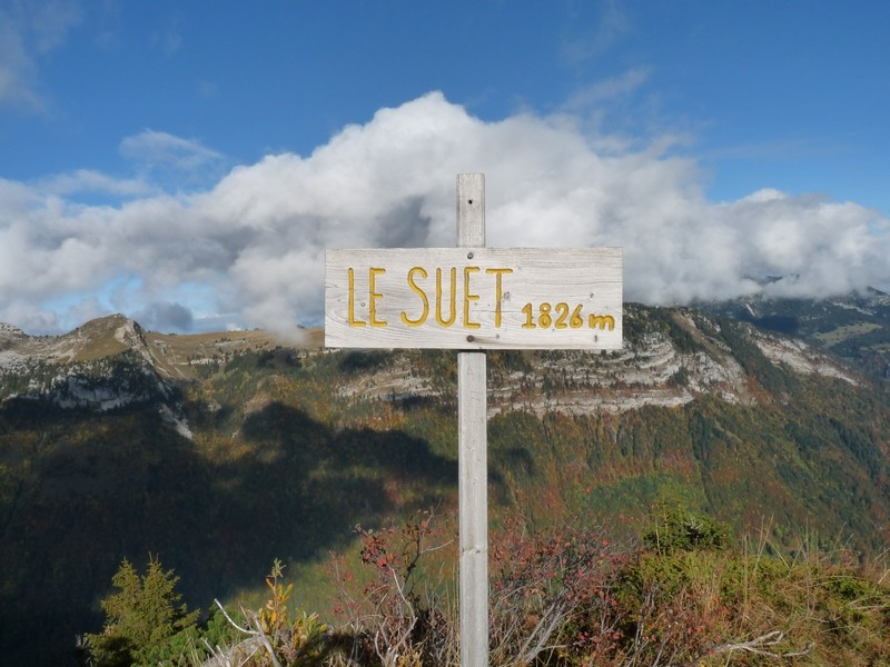 C'est comme le Port-Salut