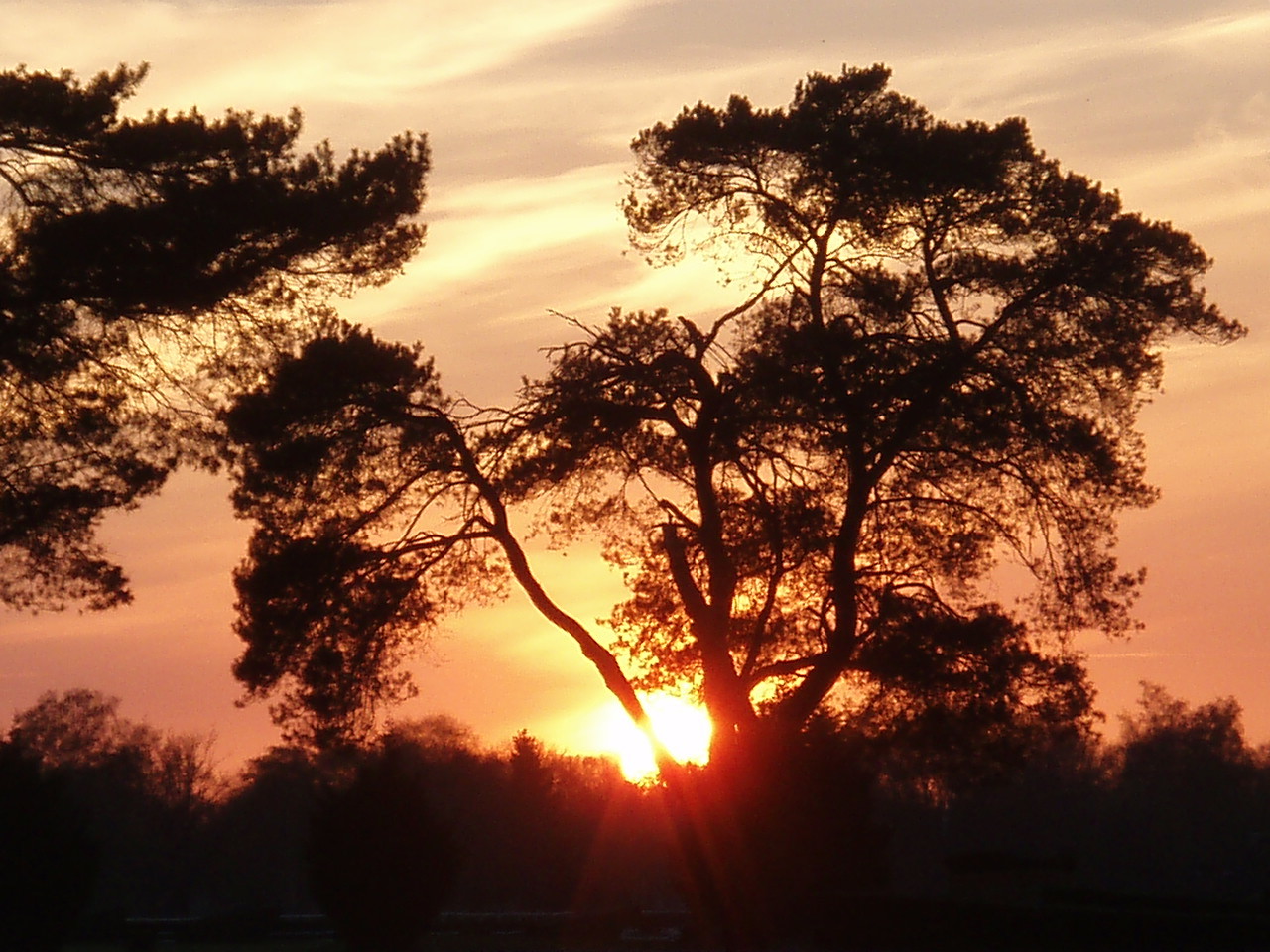 Couché de soleil palois