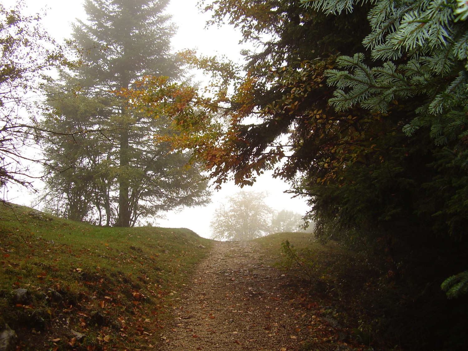 Automne