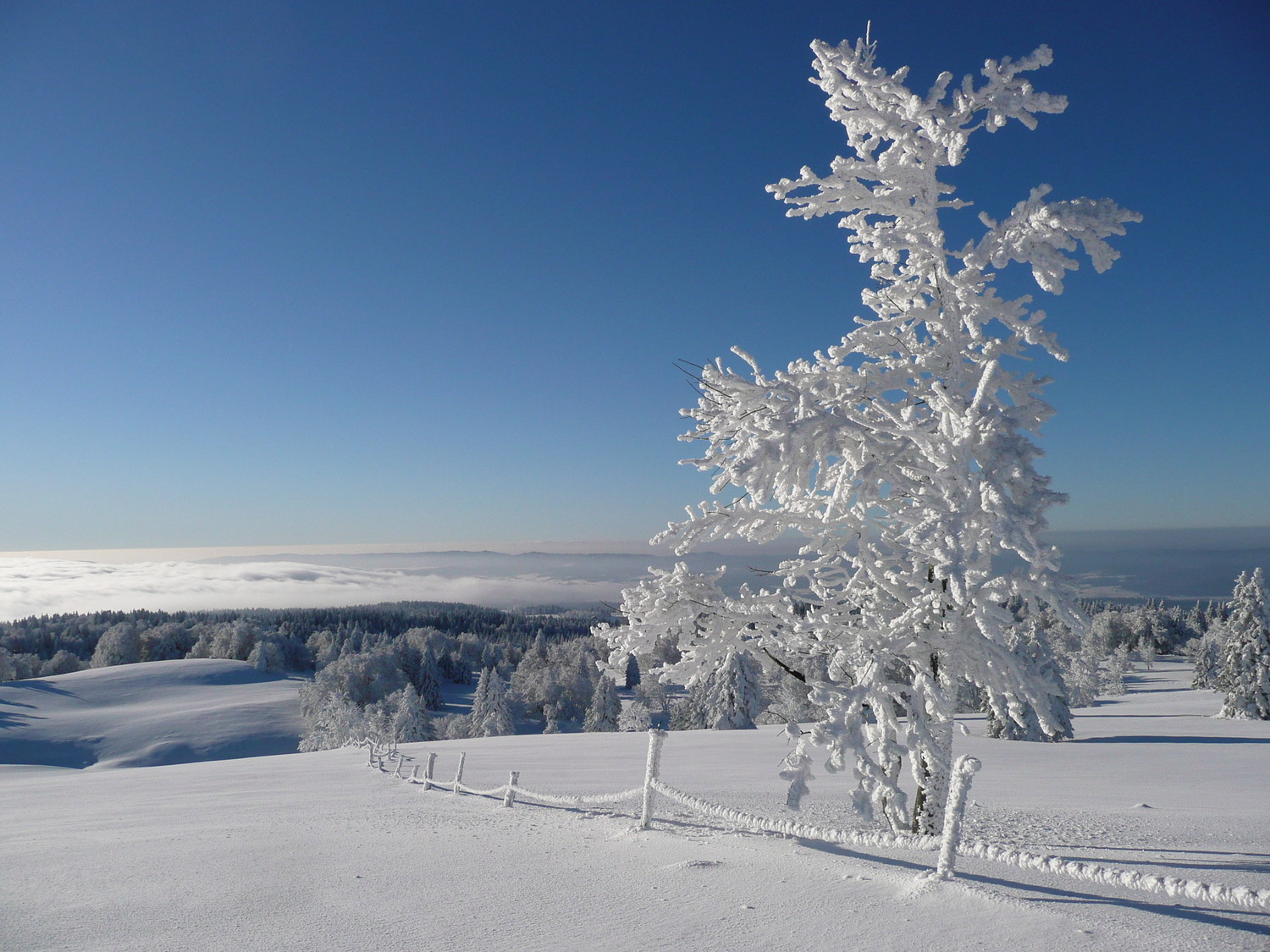 Mont d'Or, chaîne du Jura