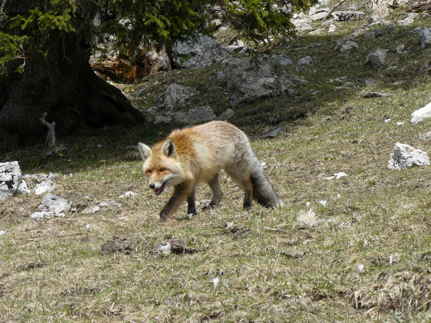 Rencontre