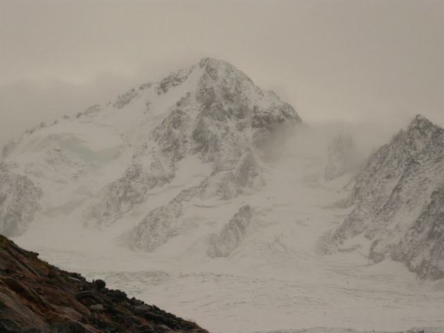 Chardonnet vu le Samedi