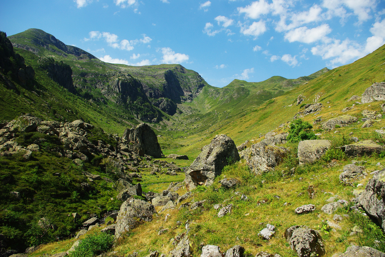 Vallon d'Aas de Bielle