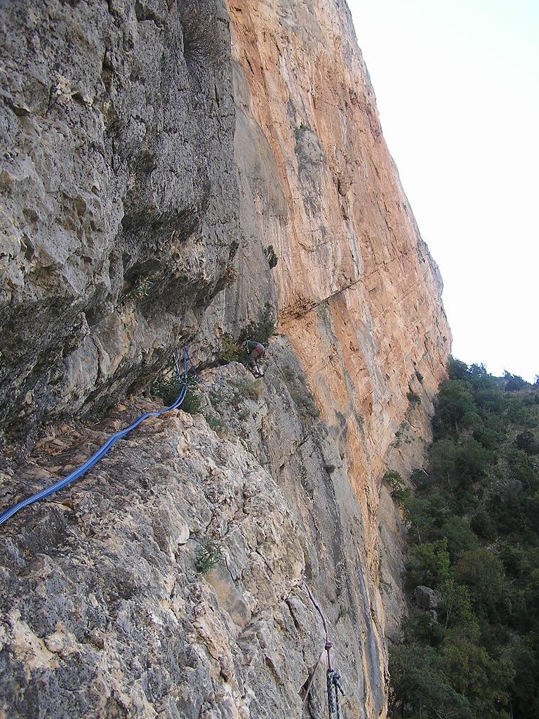 dièdre gris : L2