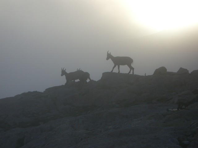 concours photo Sophie 2009