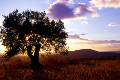 Coucher de soleil sur les Pyrénées aragonaises Coucher de soleil sur les Pyrénées aragonaises
