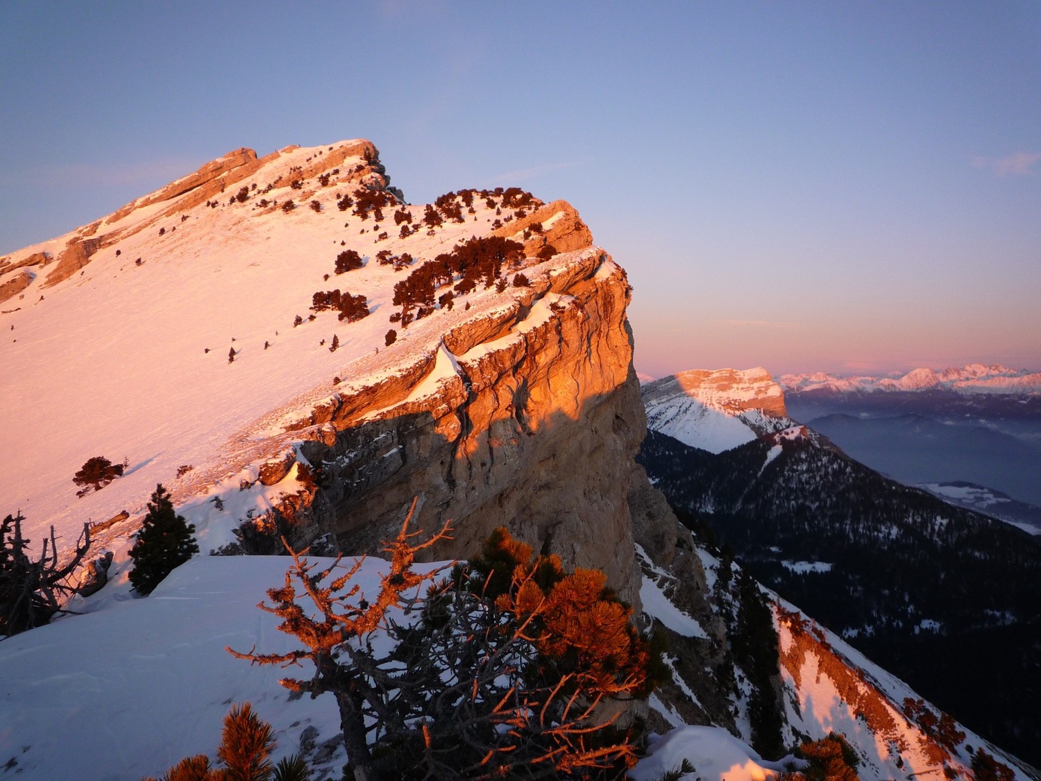 Crépuscule chamechaudesque