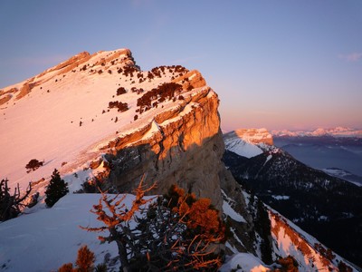 Crépuscule chamechaudesque