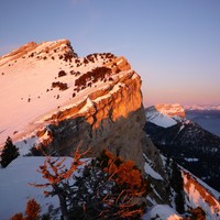 Crépuscule chamechaudesque