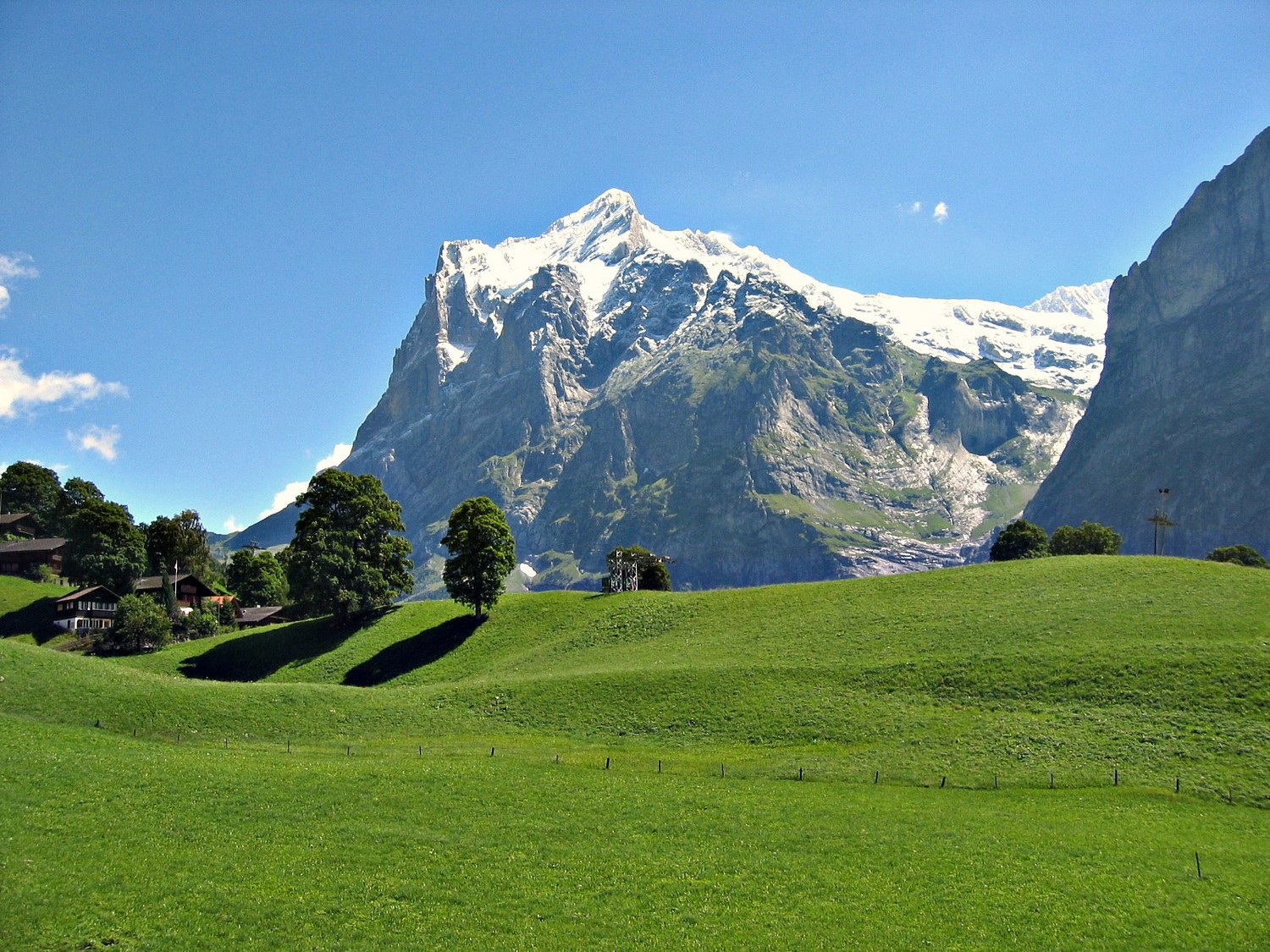 Wetterhorn and a perfect swiss grass