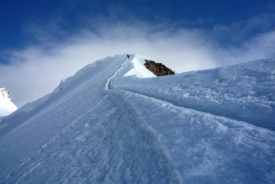 Castor Castor