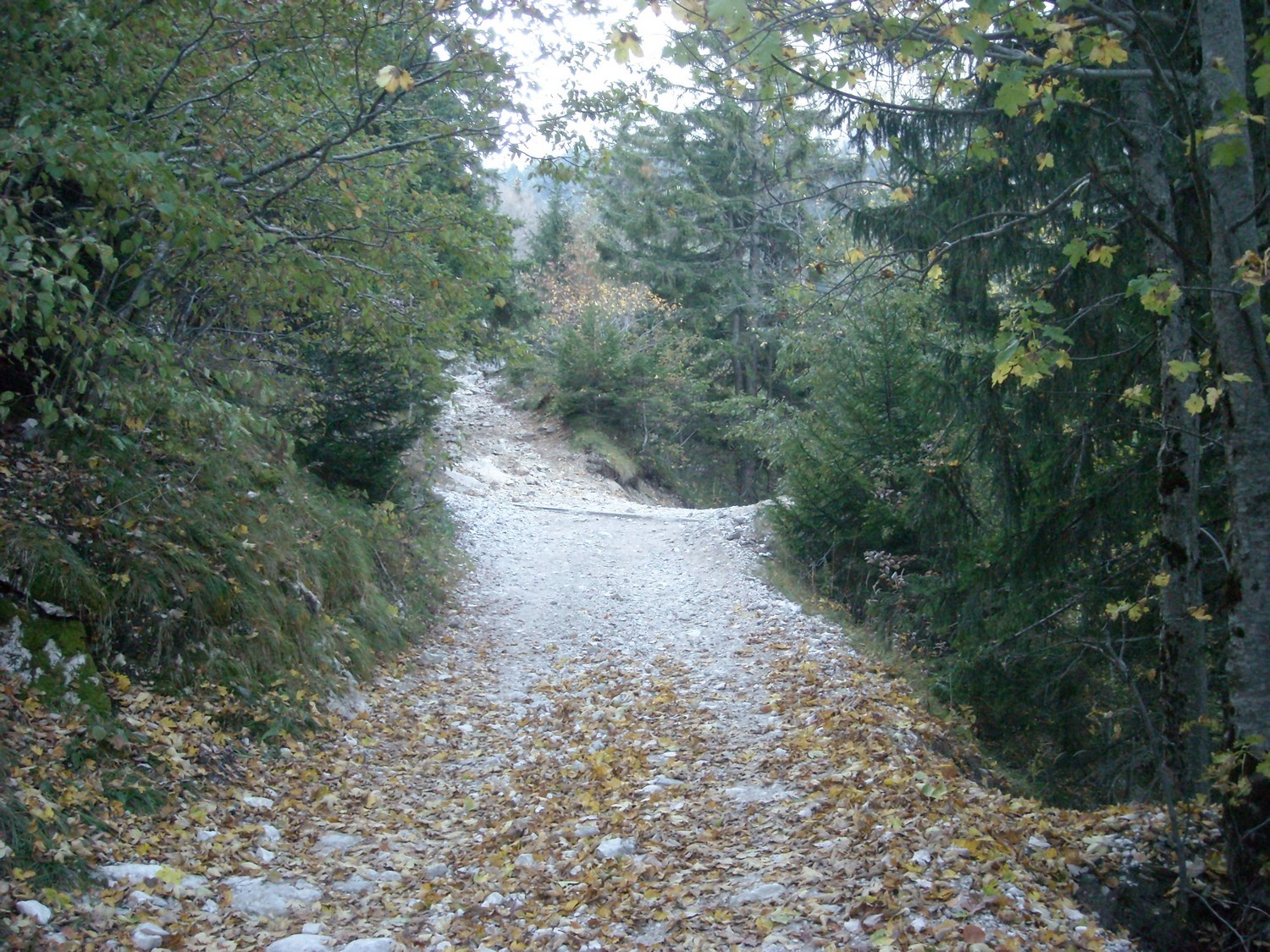 Après environ 15 minutes on part à droite.
