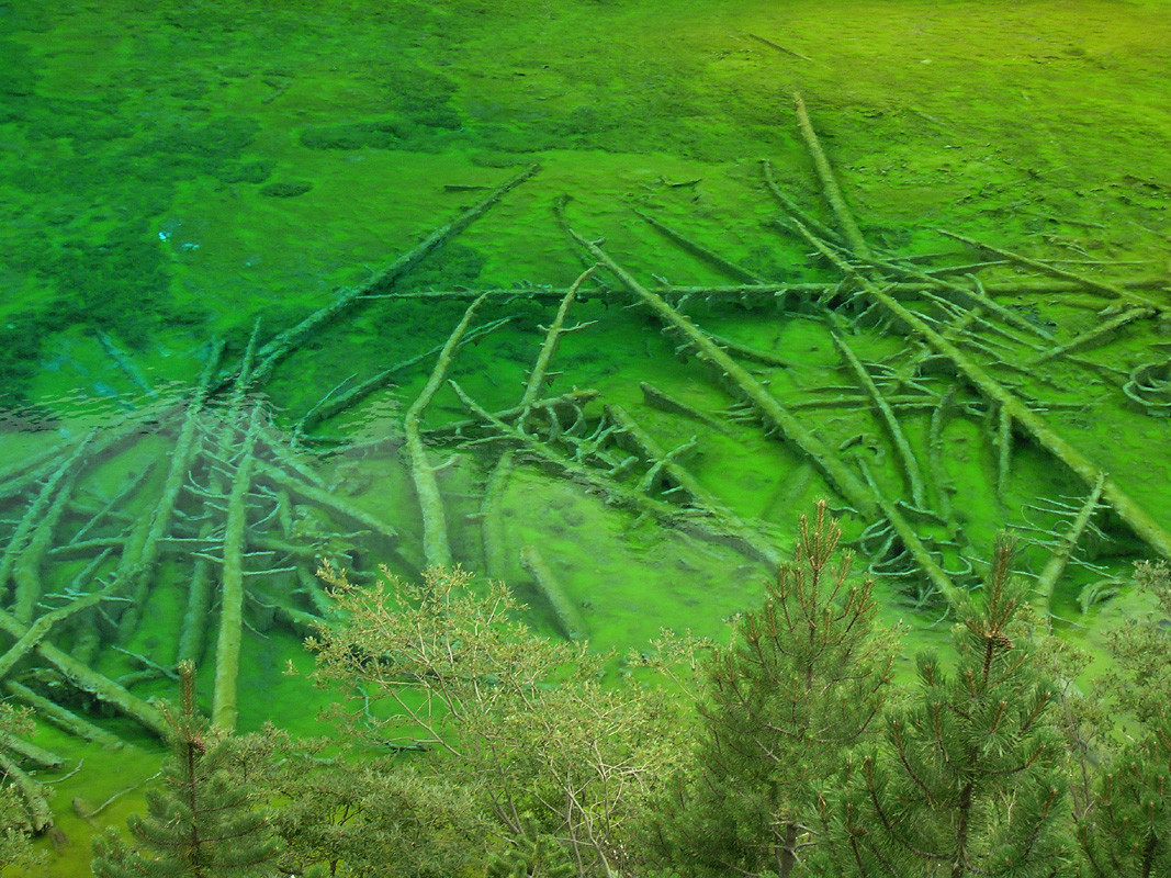 Lago Verde dans la Vallée Etroite
