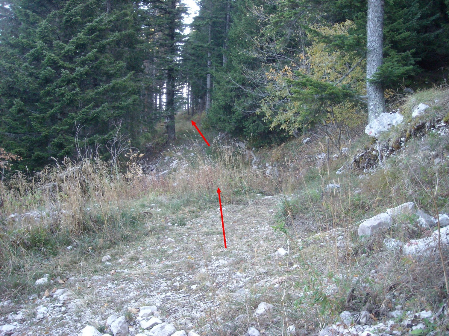 Après le Monthieu, son sentier et son chemin, première bifurcation (pour retourner au Chesnet).