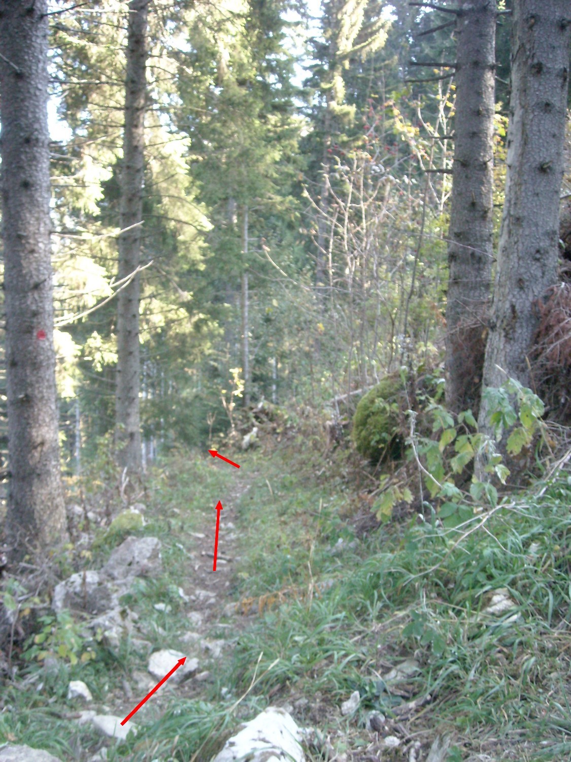 Troisième bifurcation.