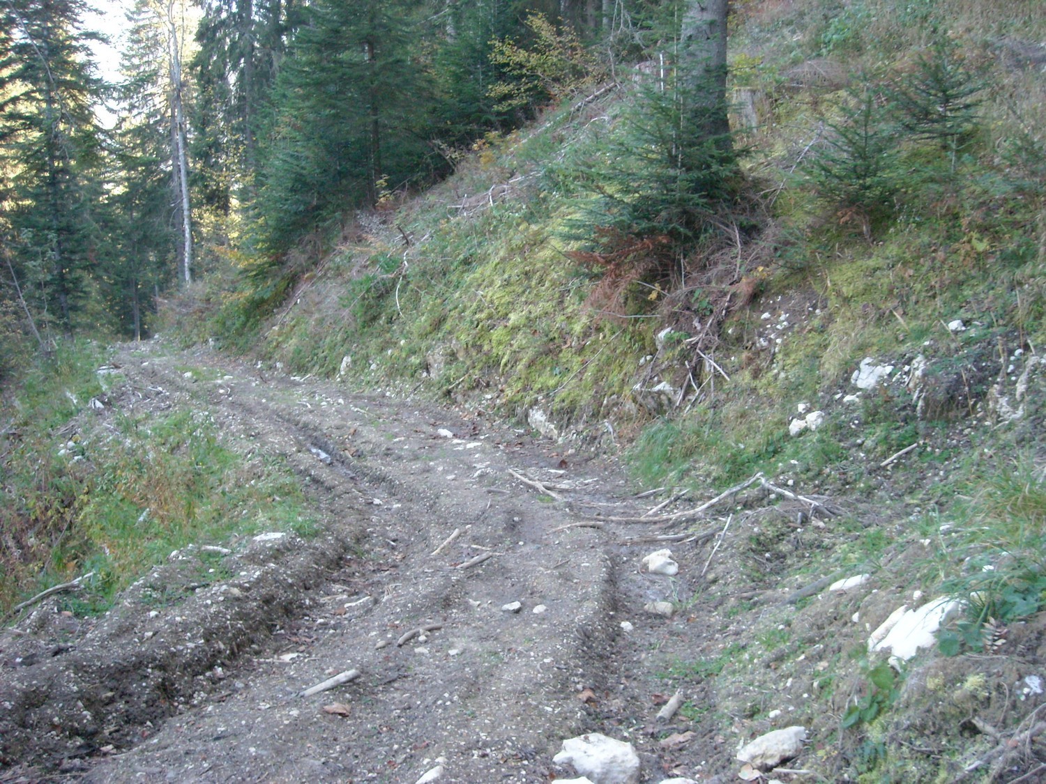 Puis on trouve ce chemin qui ramène au chemin de l'aller et donc au Chesnet (chemin puis sente).