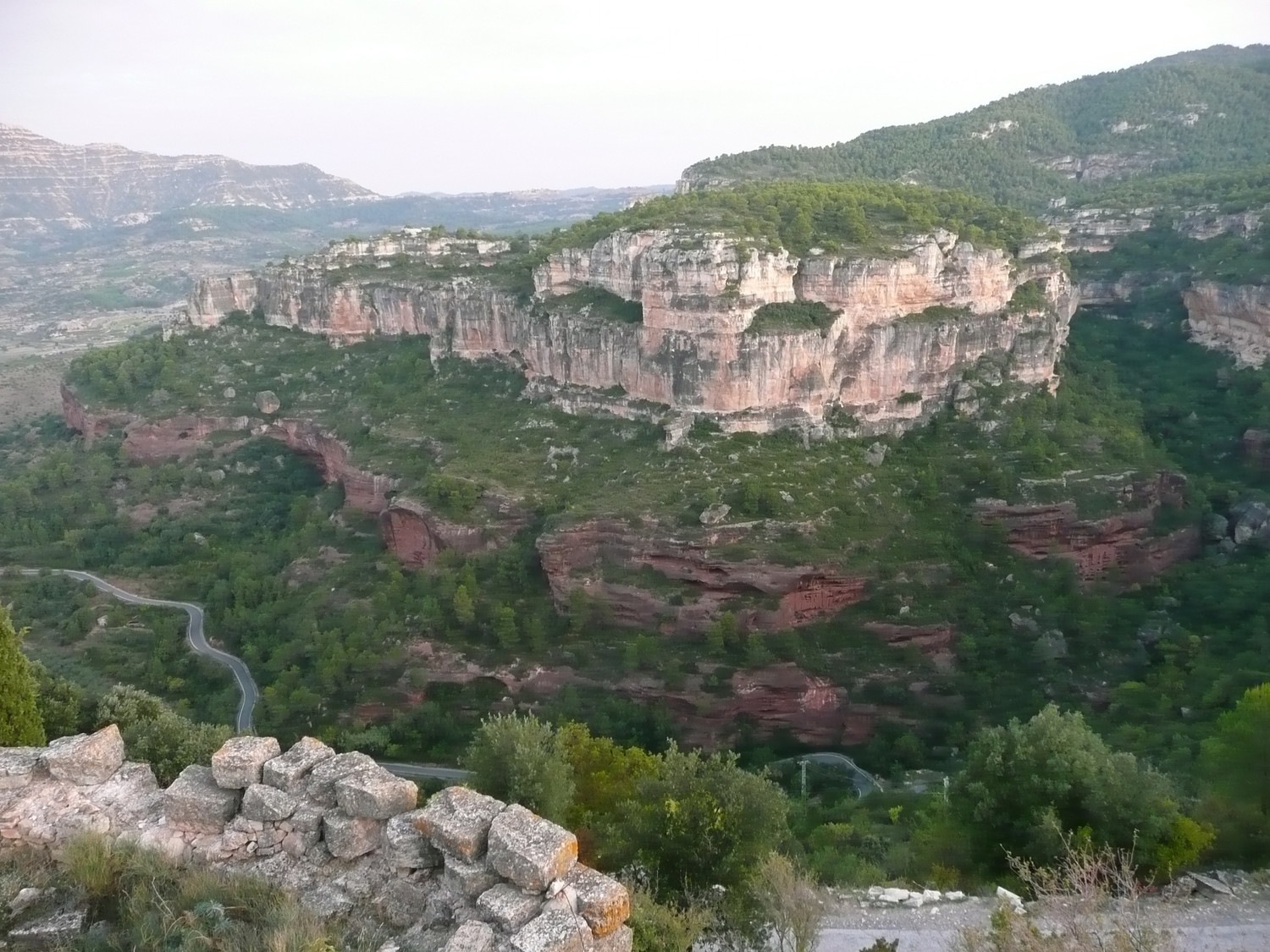 Siuranella