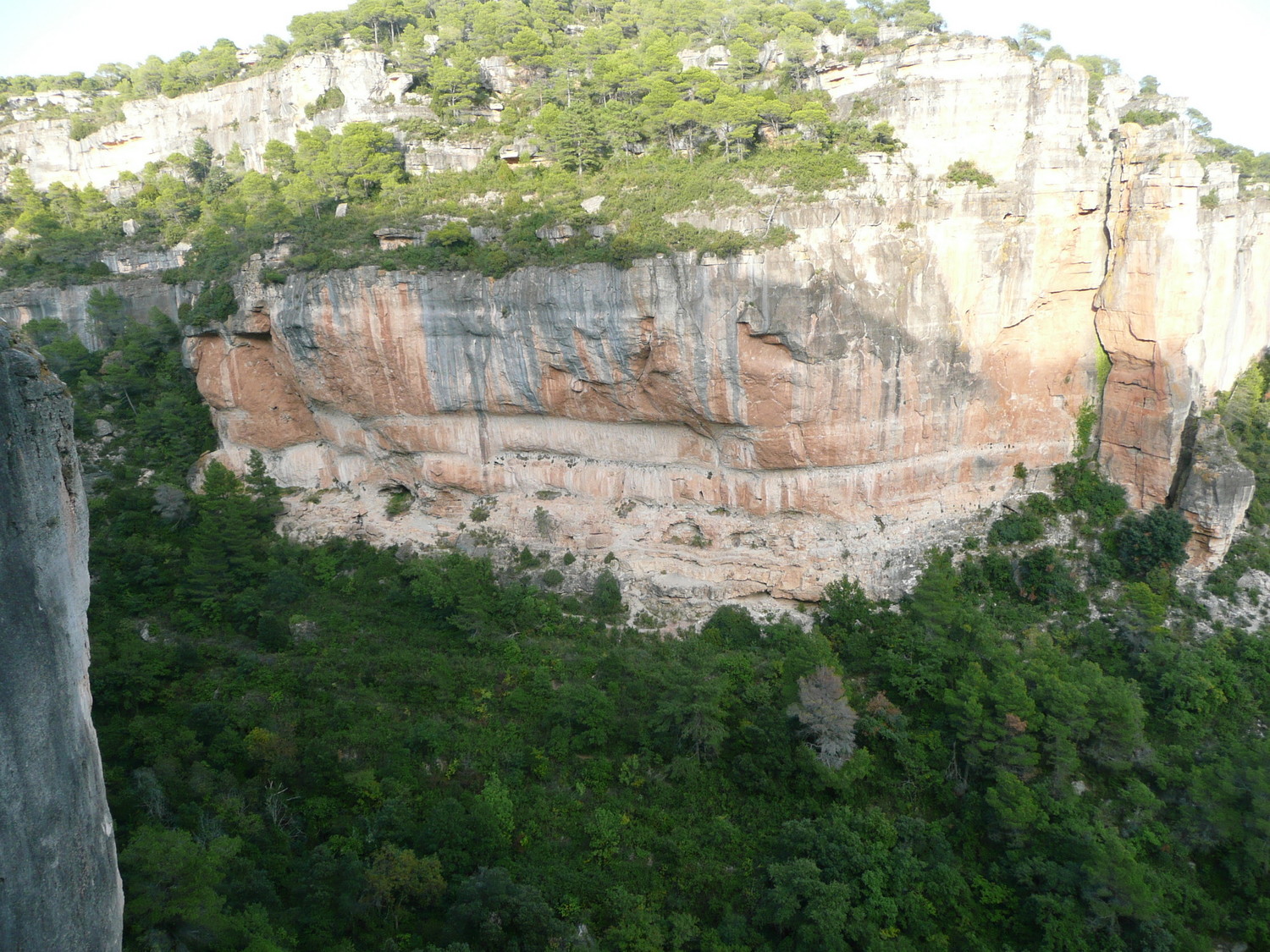 El Pati, le secteur de la Rambla