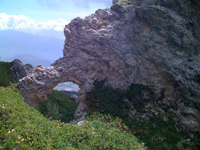 les capacités de la nature les capacités de la nature