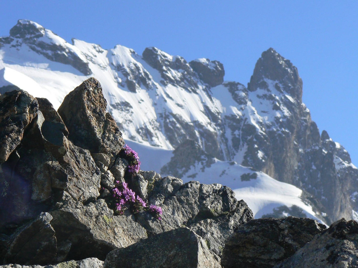 La reine de l'Oisans, en descendant de l'Aigle