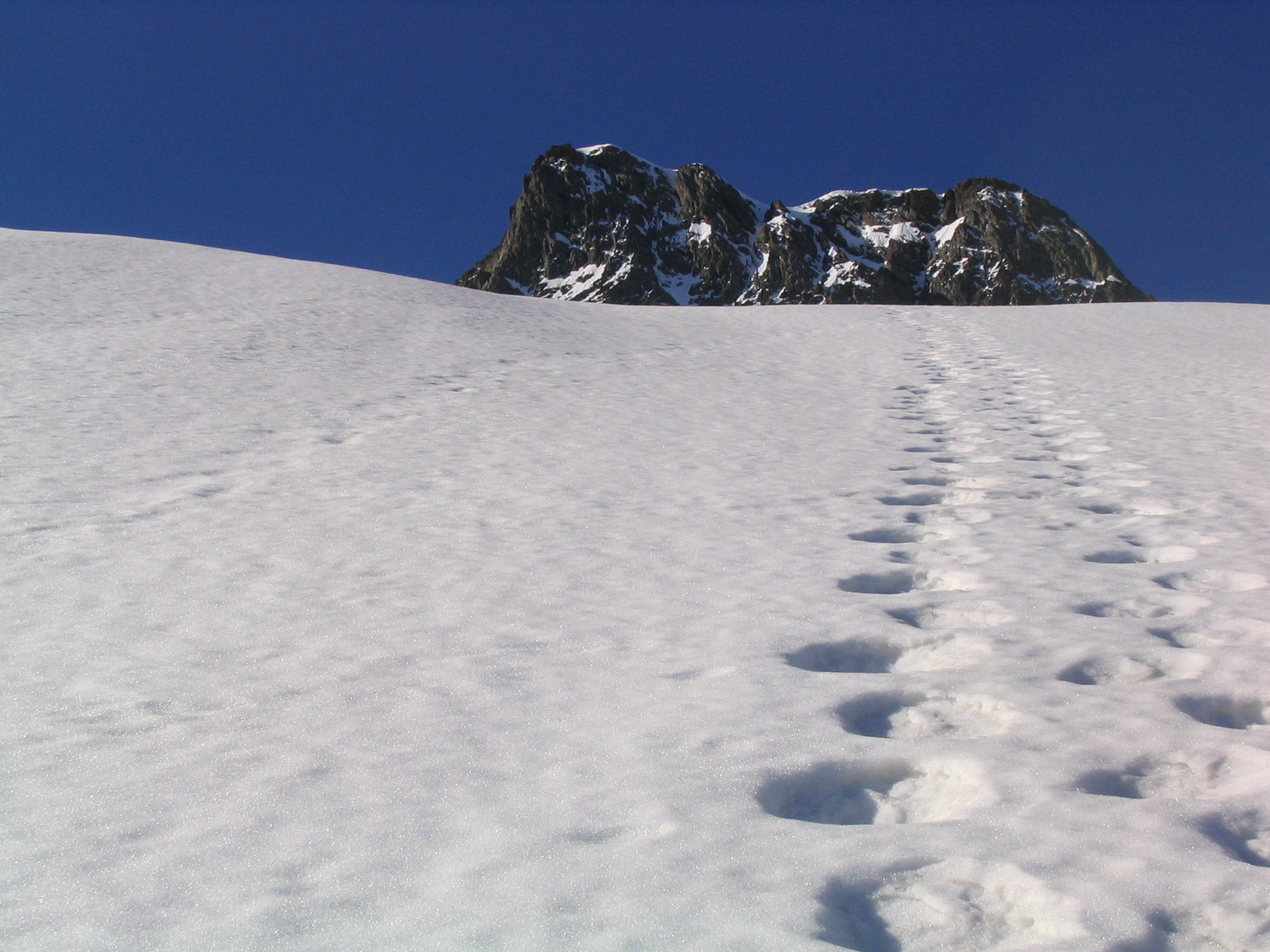 traces