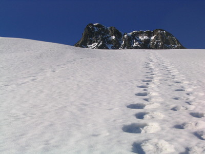 traces traces
