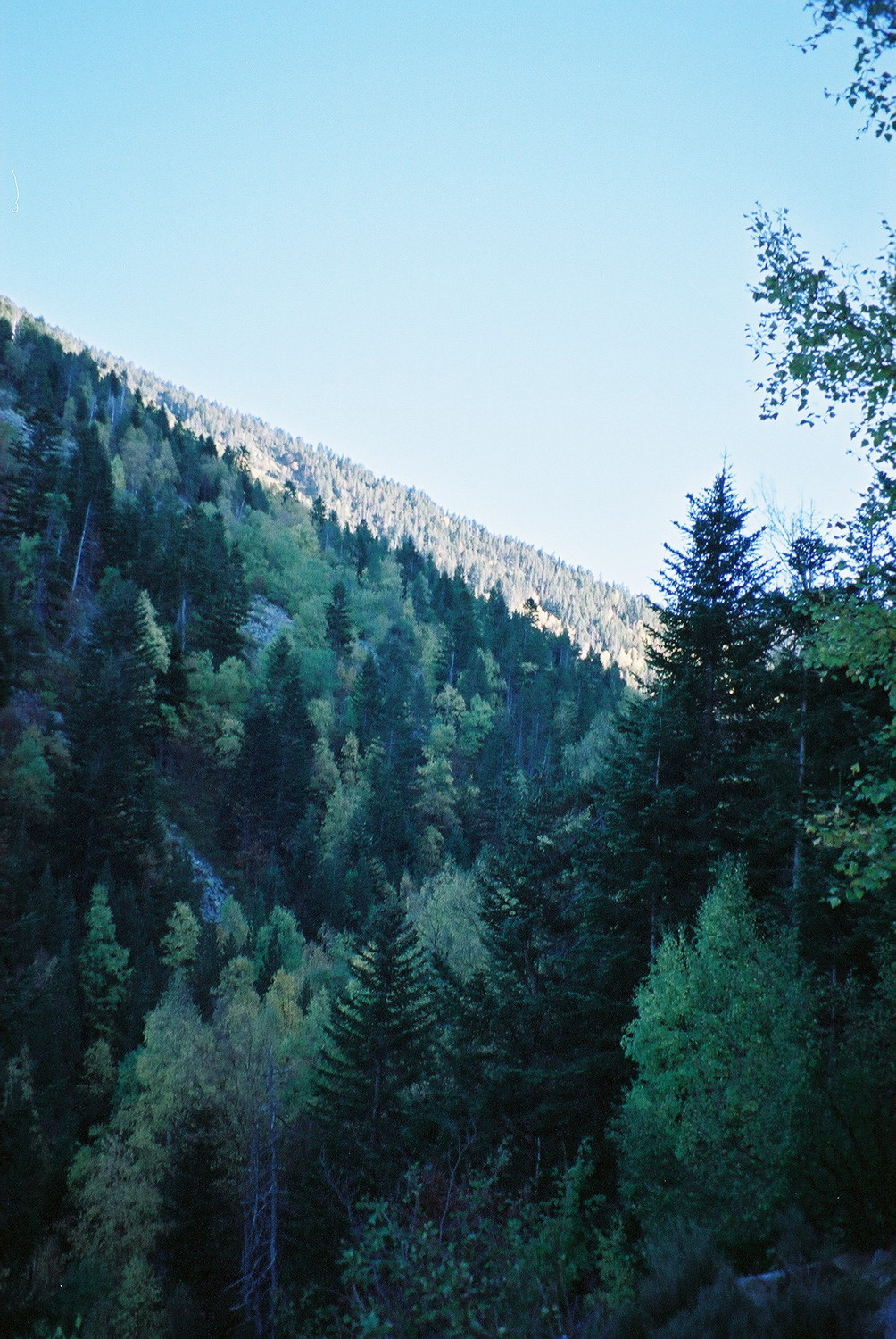 Images d'automne