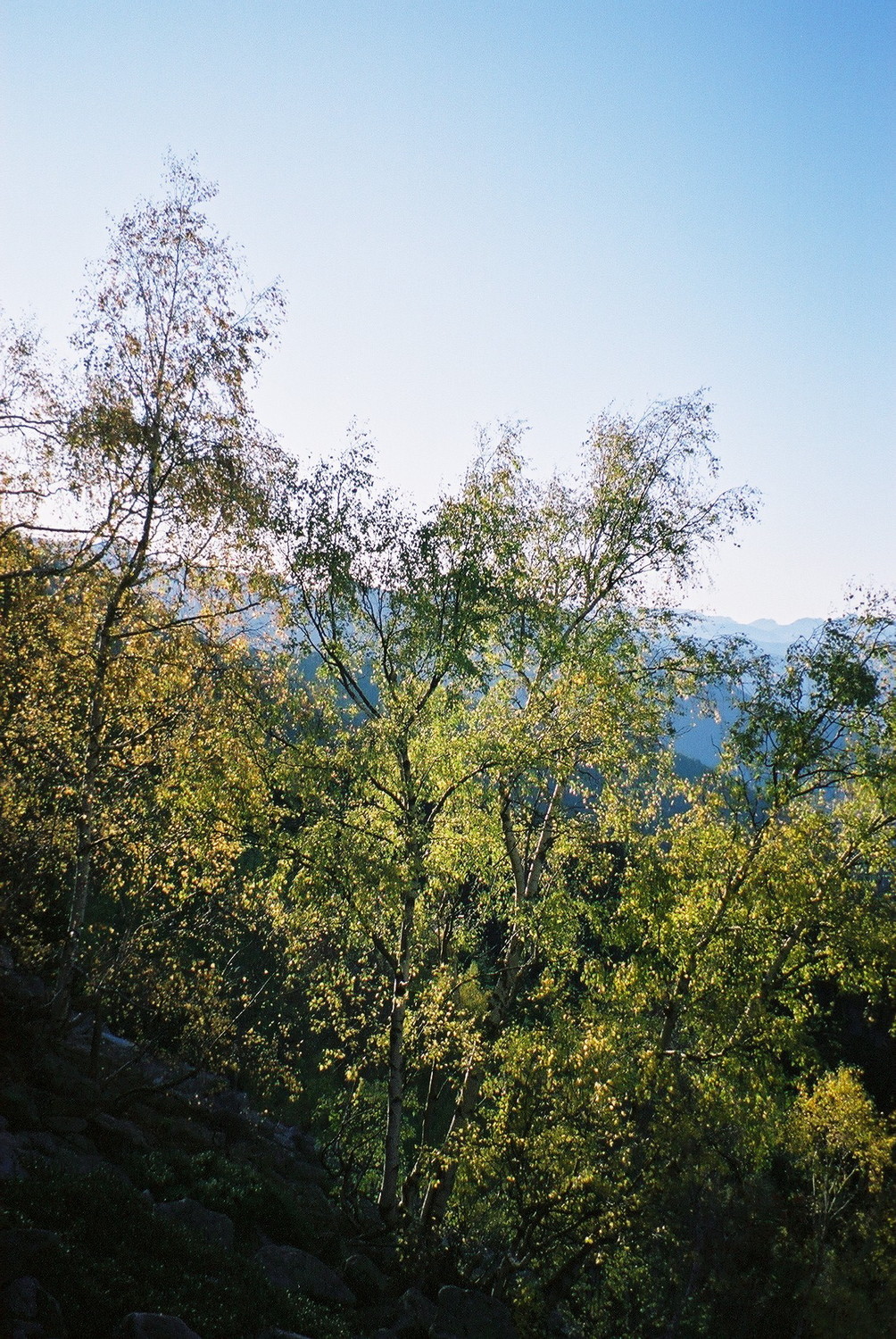 Images d'automne