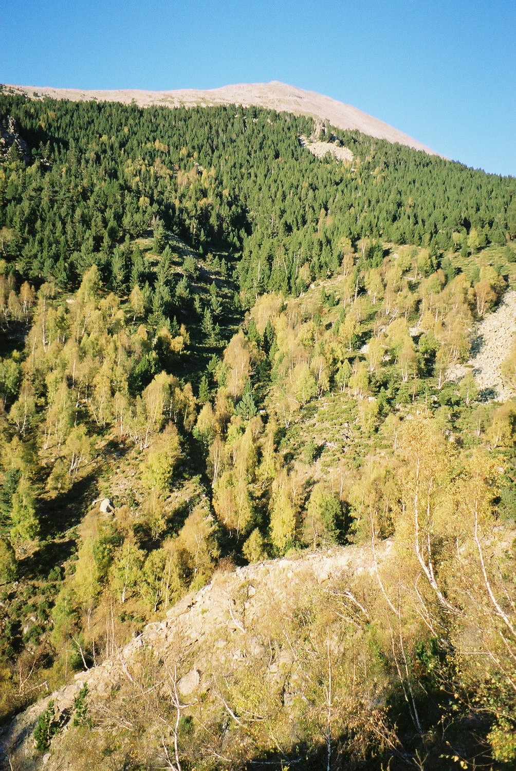 Images d'automne