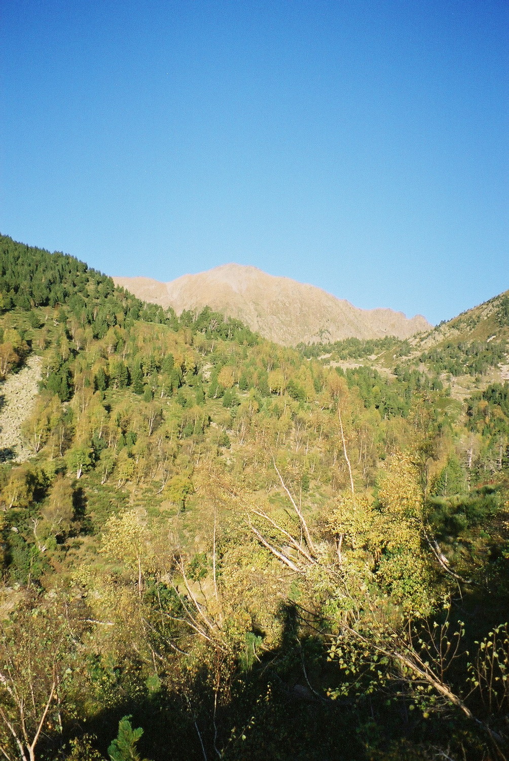 Images d'automne