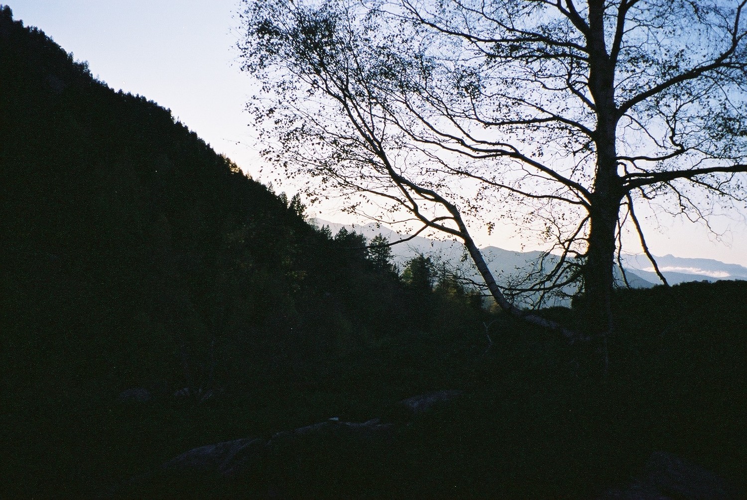 Images d'automne