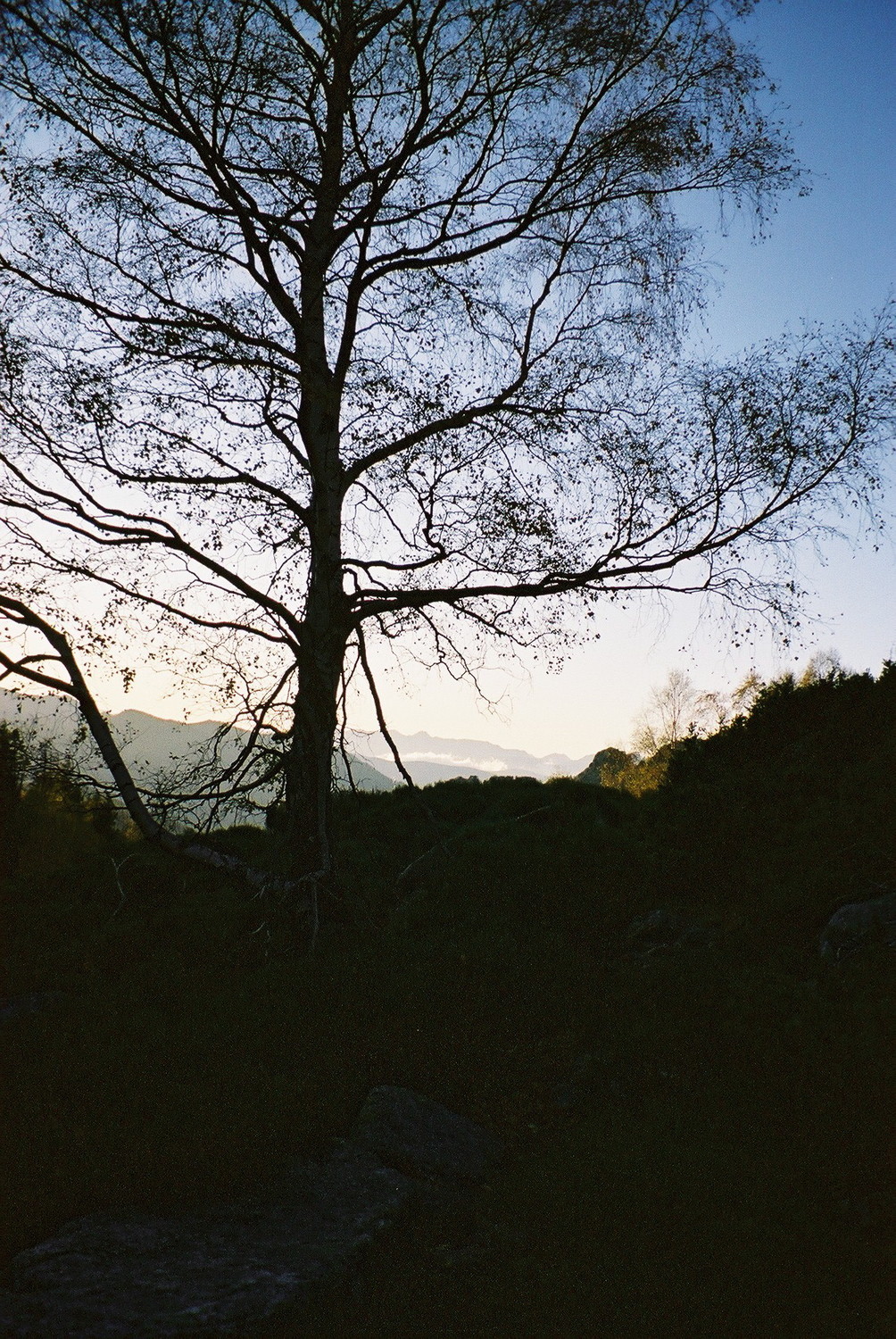 Images d'automne