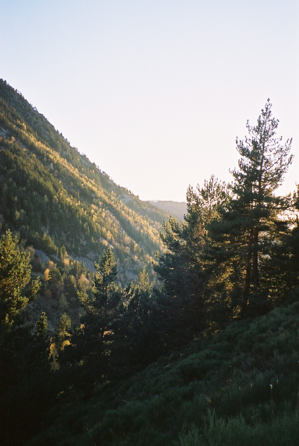 Images d'automne