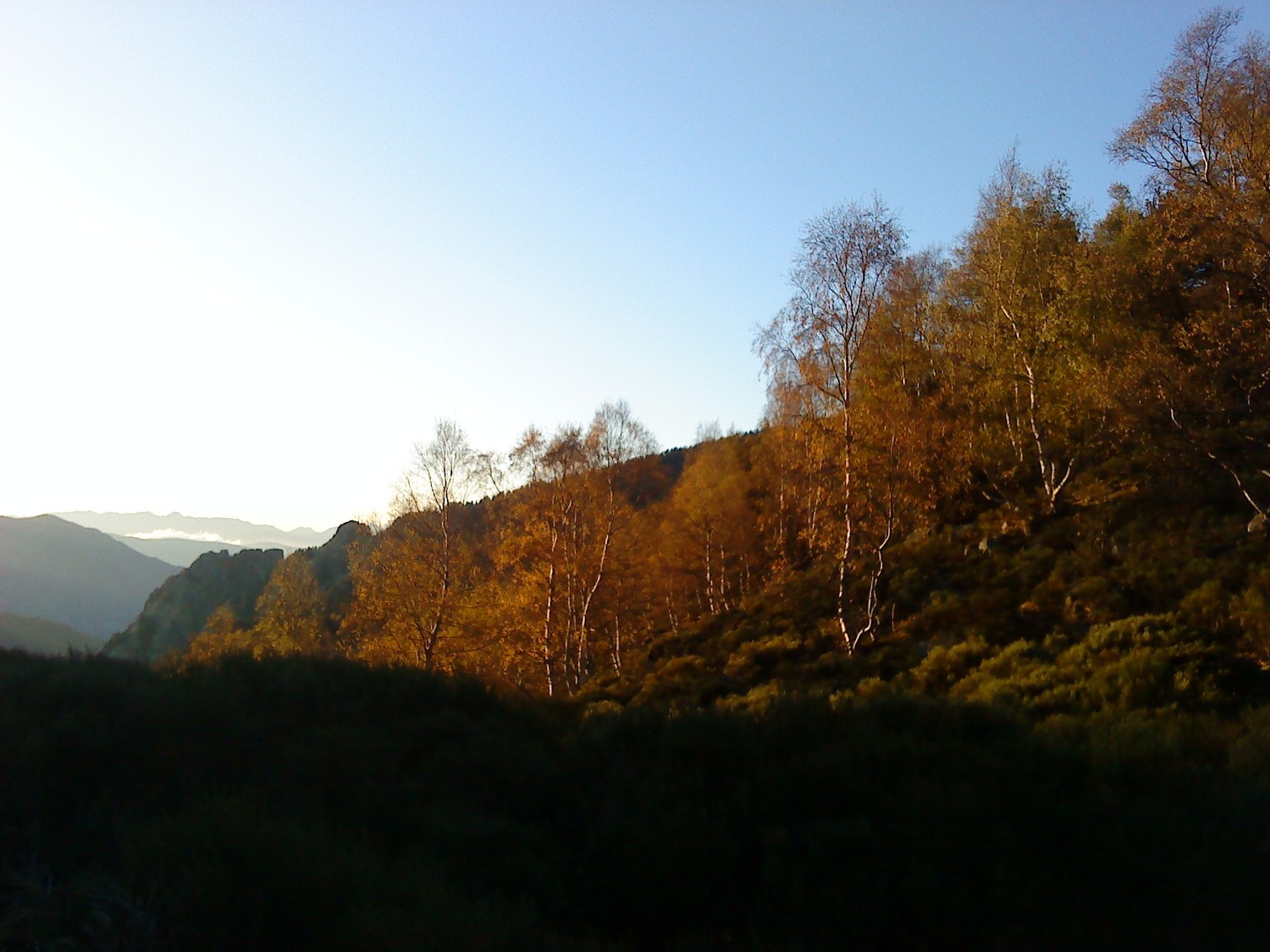 Images d'automne