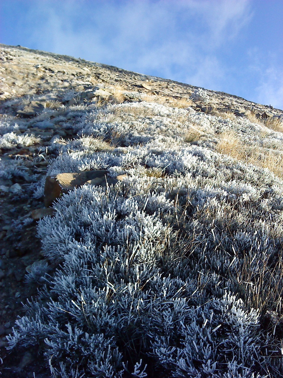 C'est presque déjà l'hiver