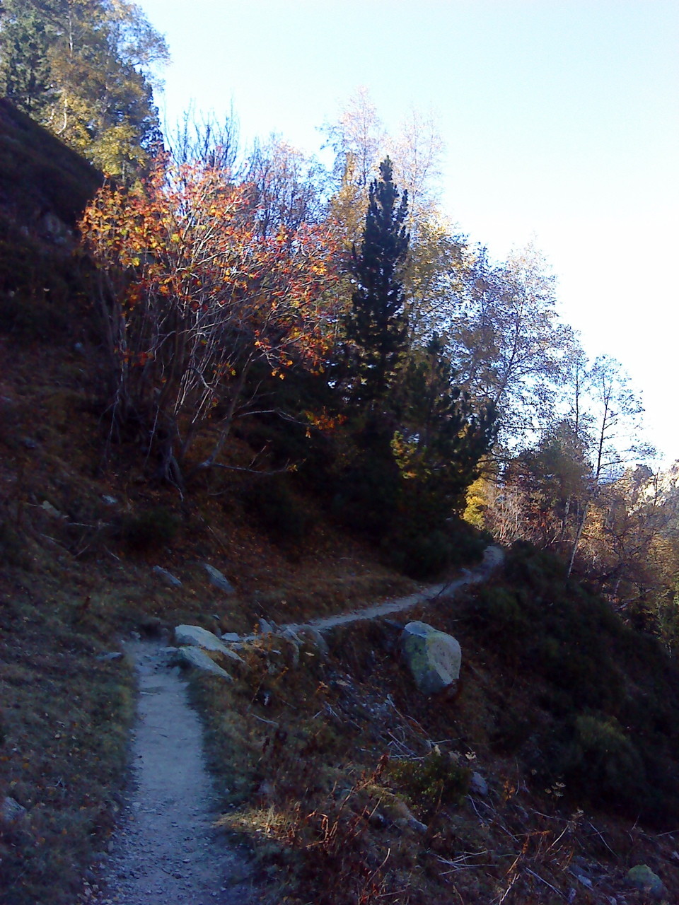 Couleurs d'automne