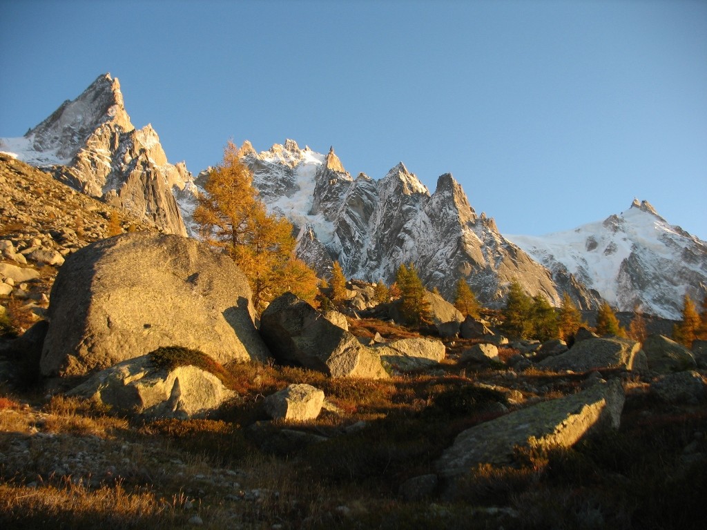 Aiguilles annuelles et Aiguilles millénaires - Chamonix