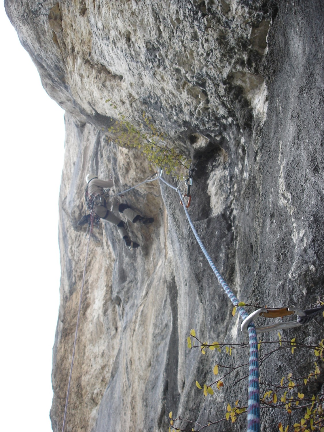 Laurent dans L2