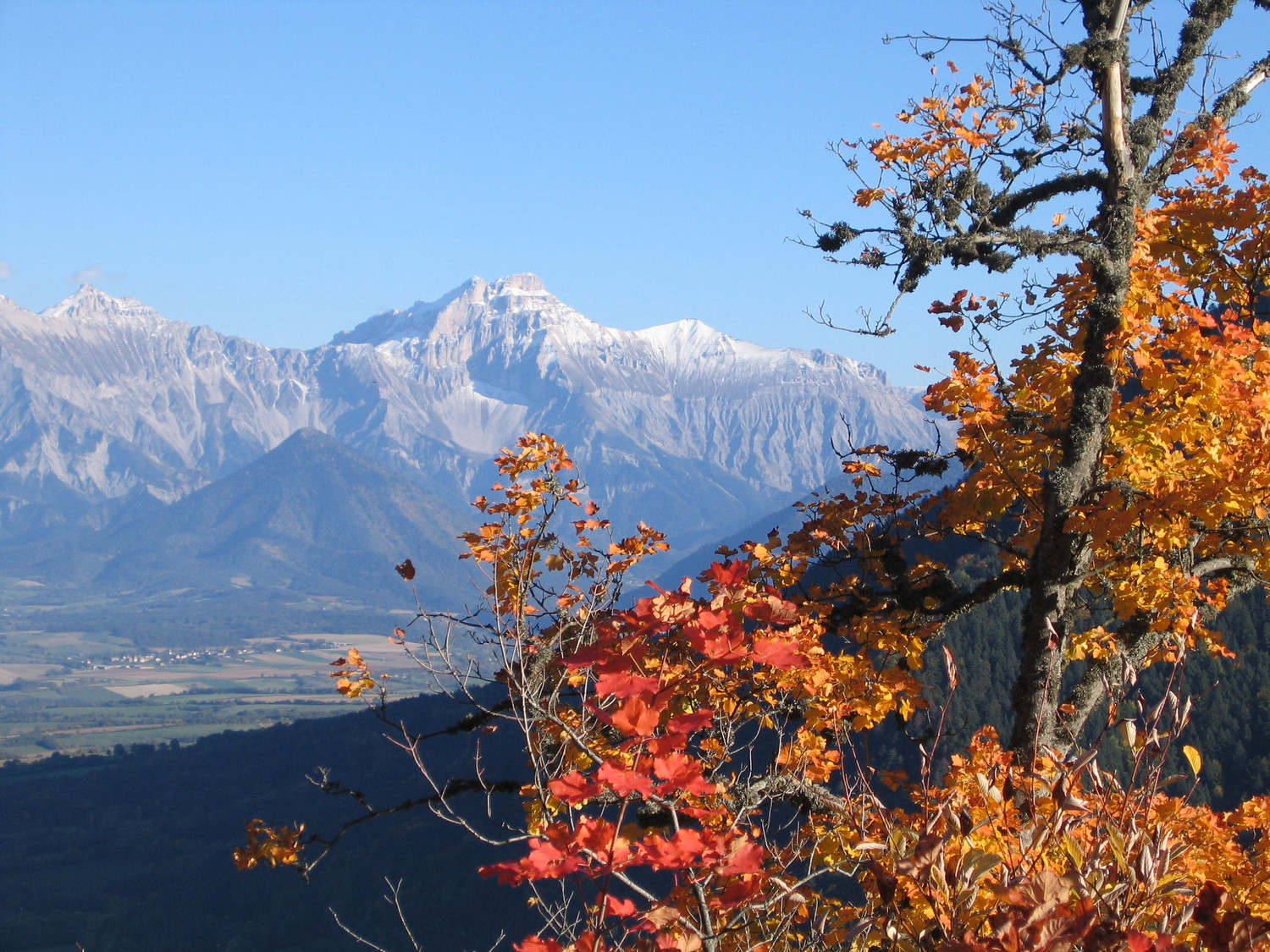 octobre à chichi
