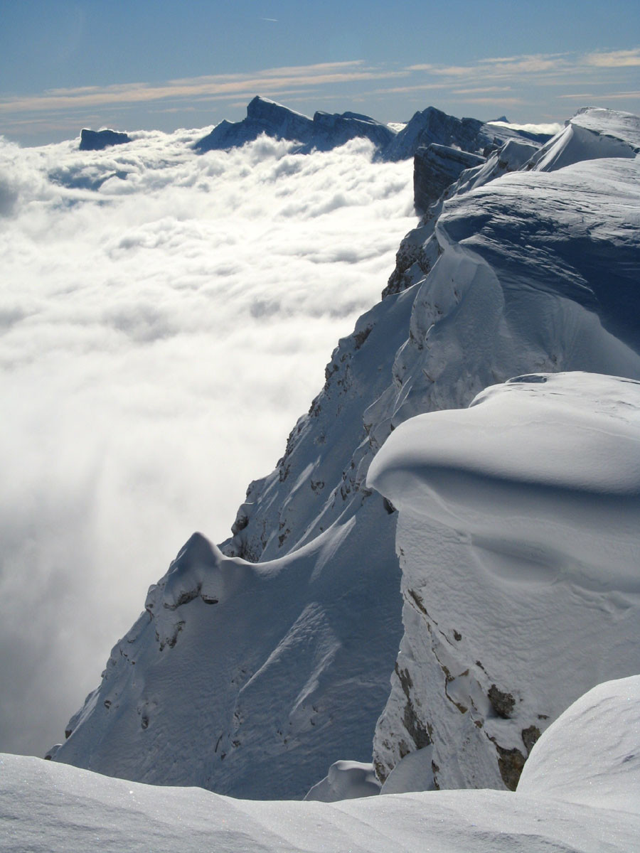 Perché sur le bord du Plateau