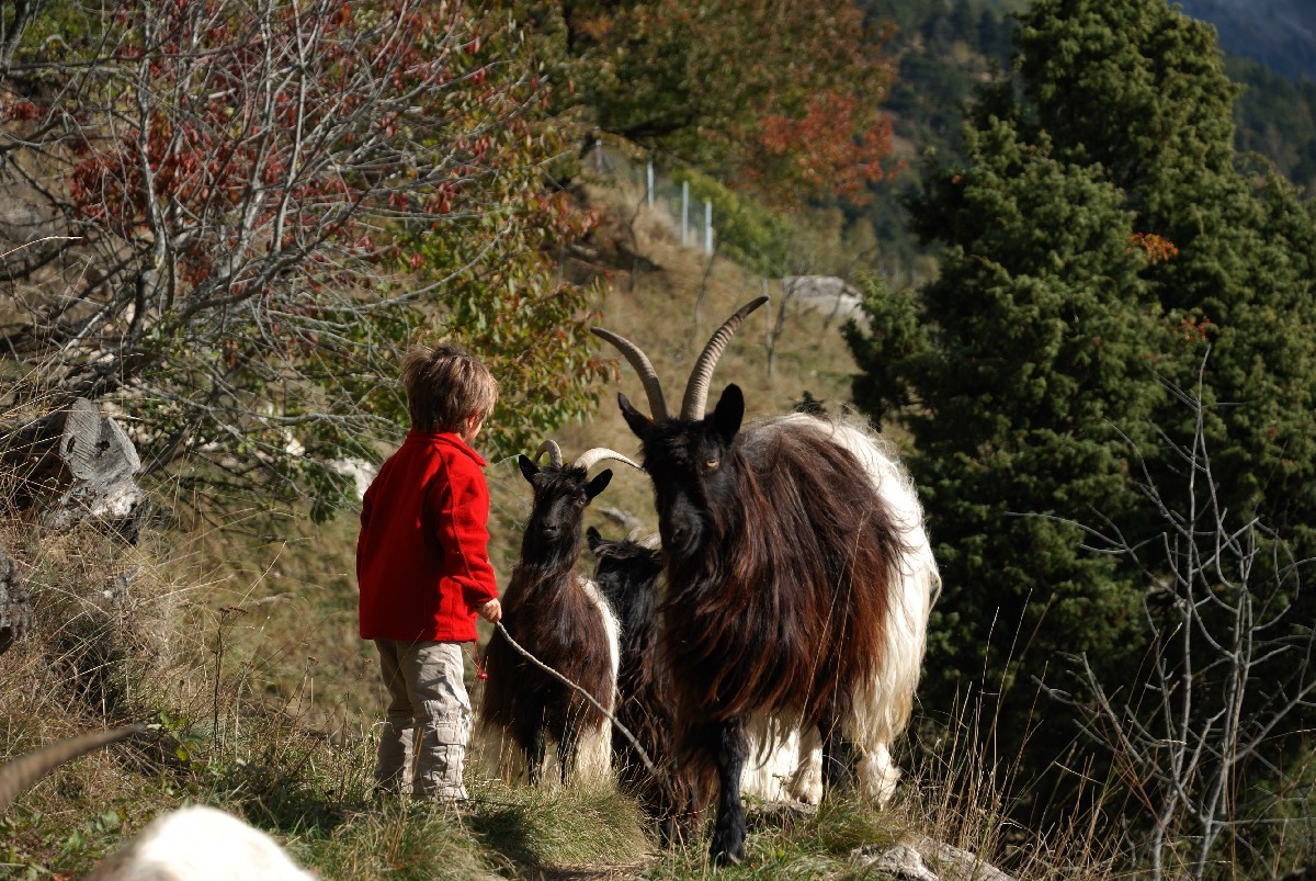 Entre Ausserberg et Niwärch