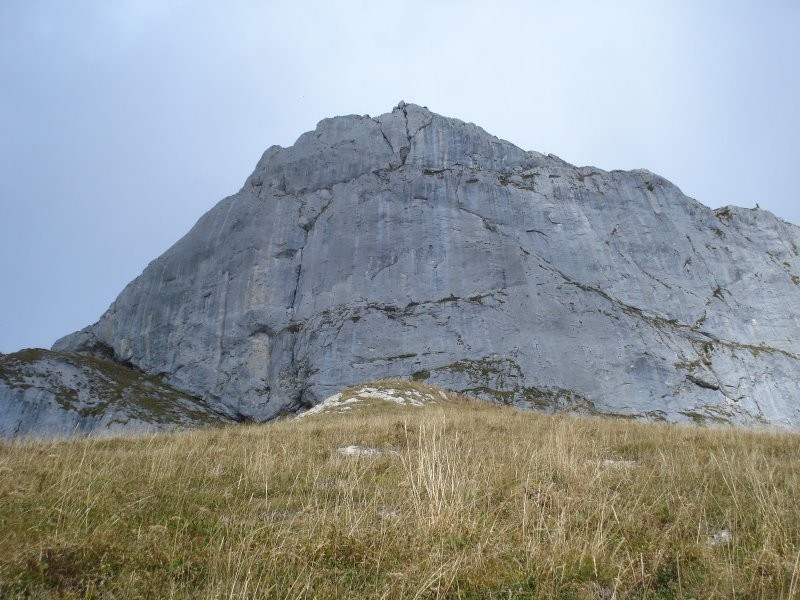La Pucelle