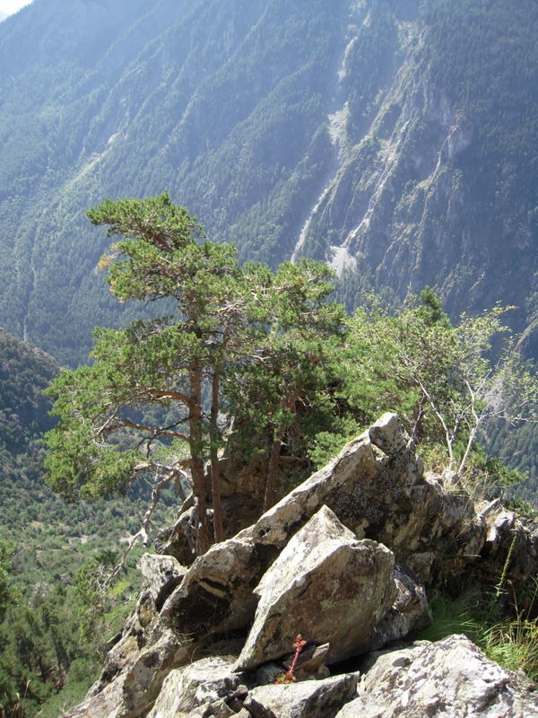 Détail III