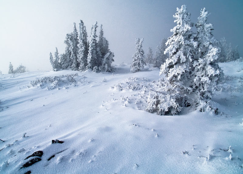 L hiver est bien la sur le plateau